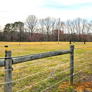 Photo #23 of 13521 Dykeland Road, Amelia Court House, VA 9.2 acres