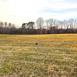 Photo #24 of 13521 Dykeland Road, Amelia Court House, VA 9.2 acres