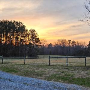 Photo #28 of 13521 Dykeland Road, Amelia Court House, VA 9.2 acres