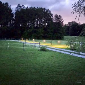 Photo #29 of 13521 Dykeland Road, Amelia Court House, VA 9.2 acres