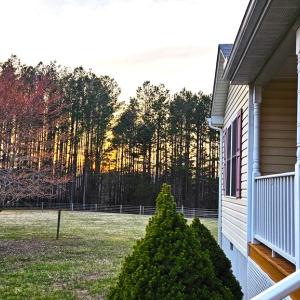 Photo #6 of 13521 Dykeland Road, Amelia Court House, VA 9.2 acres