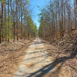 Photo #18 of 13275 Oral Oaks Road, Victoria, VA 2.0 acres