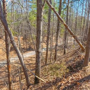 Photo #20 of 13275 Oral Oaks Road, Victoria, VA 2.0 acres