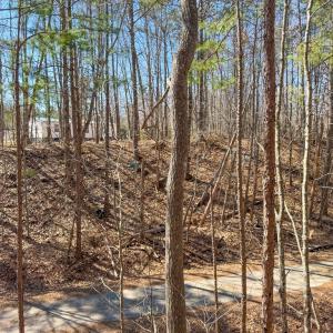 Photo #19 of 13275 Oral Oaks Road, Victoria, VA 2.0 acres