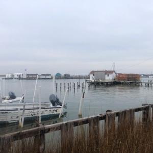 Photo #10 of 16365 MAIN RIDGE RD, TANGIER, VA 1.0 acres