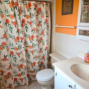 Photo #9 of 1805 County Line Road, Keysville, VA 2.6 acres