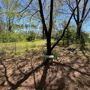 Photo #28 of 211 Shumaker Road, Buckingham, VA 2.2 acres