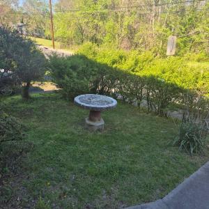 Photo #4 of 603 Griffin, Farmville, VA 0.1 acres