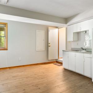 Basement Kitchen
