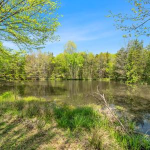 Photo #44 of 300 Poorhouse Road, Rice, VA 47.7 acres