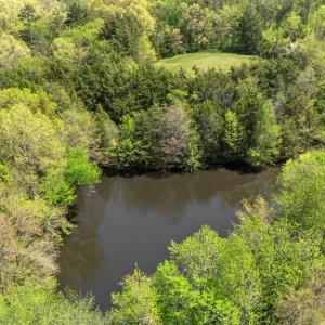 Photo #46 of 300 Poorhouse Road, Rice, VA 47.7 acres