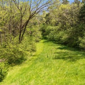 Photo #49 of 300 Poorhouse Road, Rice, VA 47.7 acres
