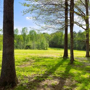Photo #67 of 1311 Overton Rd, Victoria, VA 17.2 acres