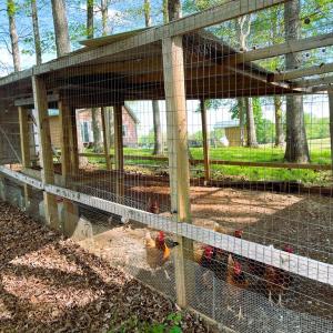Photo #69 of 1311 Overton Rd, Victoria, VA 17.2 acres
