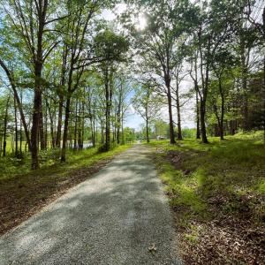 Photo #70 of 1311 Overton Rd, Victoria, VA 17.2 acres