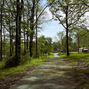 Photo #71 of 1311 Overton Rd, Victoria, VA 17.2 acres