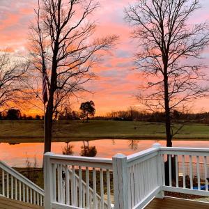 Photo #76 of 1311 Overton Rd, Victoria, VA 17.2 acres