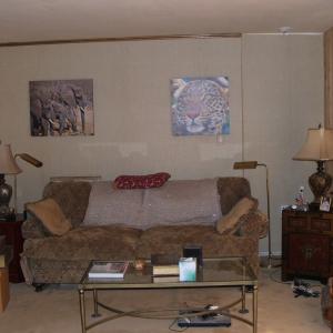 Photo #6 of 300 Sondra Lane, Saxe, VA 13.4 acres