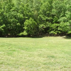 Photo #11 of 300 Sondra Lane, Saxe, VA 13.4 acres
