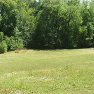 Photo #13 of 300 Sondra Lane, Saxe, VA 13.4 acres
