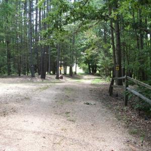 Driveway into property