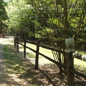Another view of driveway