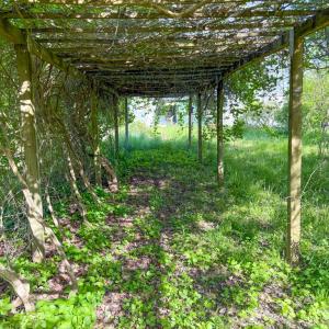 Photo #22 of 4342 Winningham Road, Crewe, VA 13.1 acres