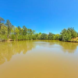 Photo #25 of 4342 Winningham Road, Crewe, VA 13.1 acres