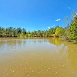 Photo #26 of 4342 Winningham Road, Crewe, VA 13.1 acres