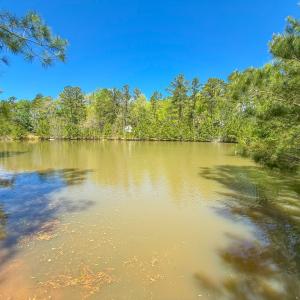 Photo #27 of 4342 Winningham Road, Crewe, VA 13.1 acres