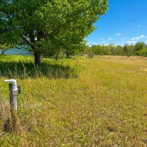 Photo #29 of 4342 Winningham Road, Crewe, VA 13.1 acres