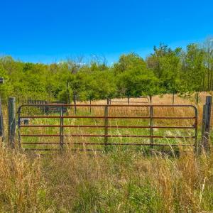 Photo #33 of 4342 Winningham Road, Crewe, VA 13.1 acres