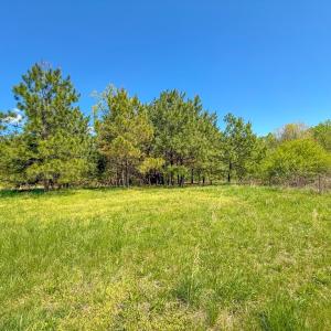 Photo #35 of 4342 Winningham Road, Crewe, VA 13.1 acres