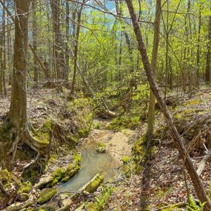 Photo #45 of 4342 Winningham Road, Crewe, VA 13.1 acres