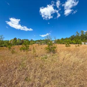 Photo #46 of 4342 Winningham Road, Crewe, VA 13.1 acres