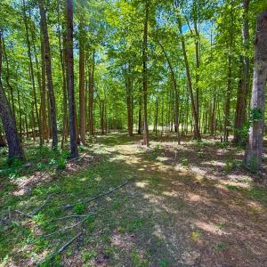 Photo #25 of 485 Pond Drive, Kenbridge, VA 8.2 acres