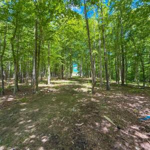 Photo #29 of 485 Pond Drive, Kenbridge, VA 8.2 acres
