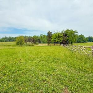 Photo #38 of 8820 Nutbush Road, Green Bay, VA 24.9 acres