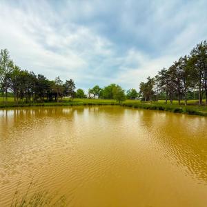 Photo #39 of 8820 Nutbush Road, Green Bay, VA 24.9 acres