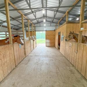 Photo #41 of 8820 Nutbush Road, Green Bay, VA 24.9 acres