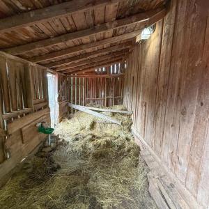Photo #46 of 8820 Nutbush Road, Green Bay, VA 24.9 acres