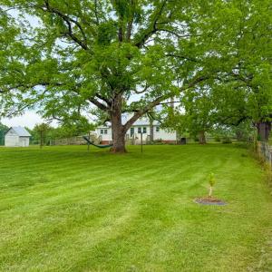 Photo #49 of 8820 Nutbush Road, Green Bay, VA 24.9 acres