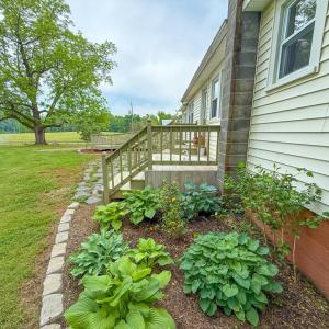 Photo #51 of 8820 Nutbush Road, Green Bay, VA 24.9 acres