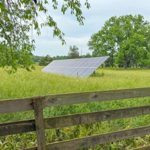 Photo #59 of 8820 Nutbush Road, Green Bay, VA 24.9 acres