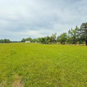 Photo #60 of 8820 Nutbush Road, Green Bay, VA 24.9 acres