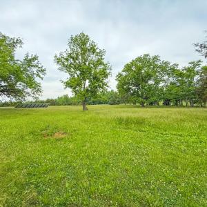 Photo #63 of 8820 Nutbush Road, Green Bay, VA 24.9 acres