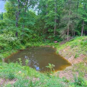 Photo #66 of 8820 Nutbush Road, Green Bay, VA 24.9 acres