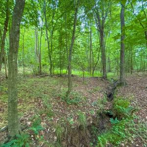 Photo #67 of 8820 Nutbush Road, Green Bay, VA 24.9 acres