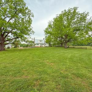 Photo #70 of 8820 Nutbush Road, Green Bay, VA 24.9 acres