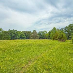 Photo #64 of 8820 Nutbush Road, Green Bay, VA 24.9 acres